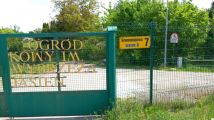 Działka rod Gdańsk Jasień, ul. Gronostajowa. Zdjęcie 1
