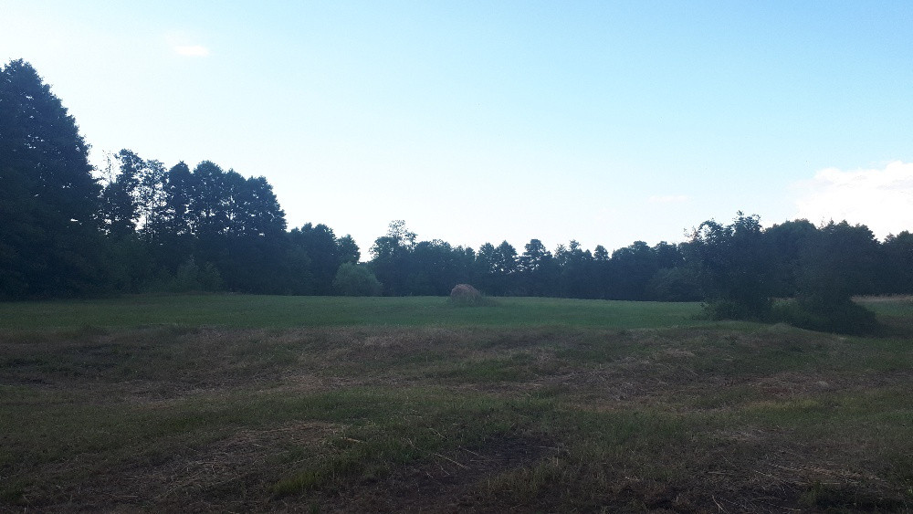 Działka rolno-budowlana Ostrykół Dworski. Zdjęcie 4