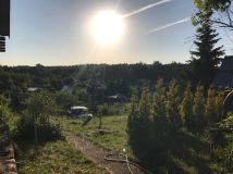 Działka rod Mrągowo. Zdjęcie 2