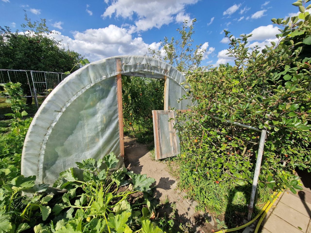 Działka rod Stargard, ul. Grudziądzka. Zdjęcie 6