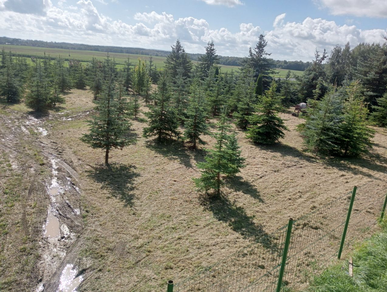 Działka budowlana Kajkowo, ul. Polna