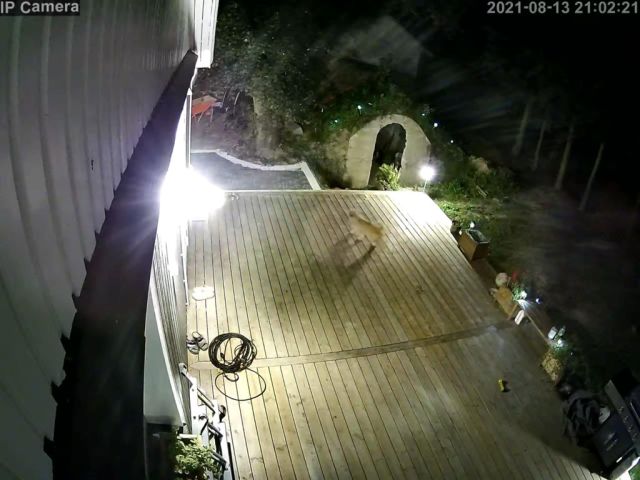 dom, 2 pokoje Sewerynów. Zdjęcie 12