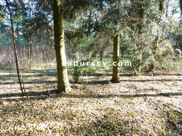 Działka budowlana Biały Ług. Zdjęcie 7