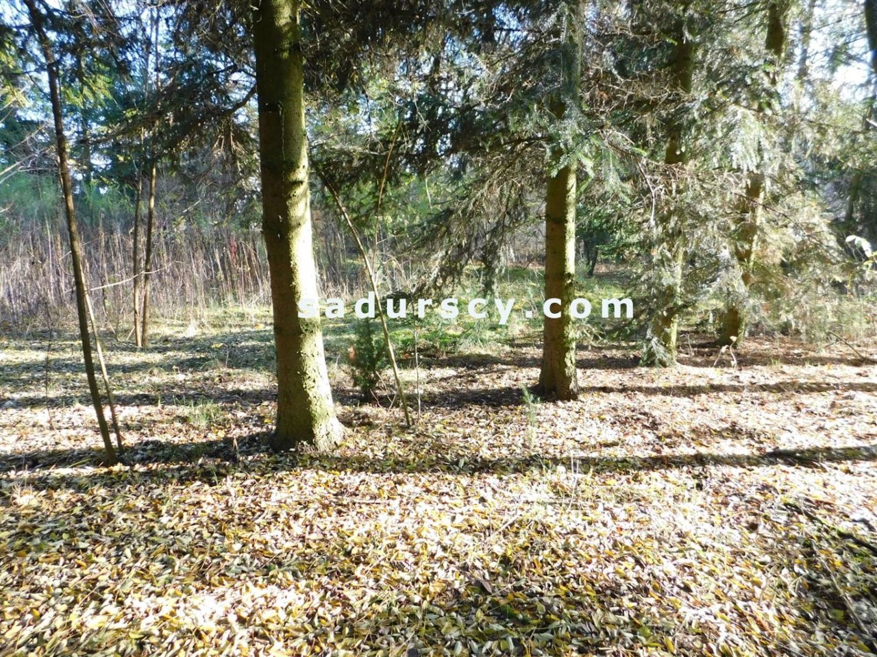 Działka budowlana Biały Ług. Zdjęcie 7