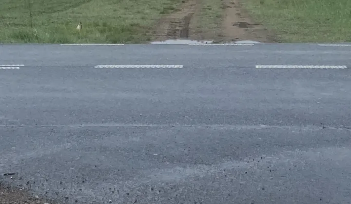 Działka rolna Kołomąt