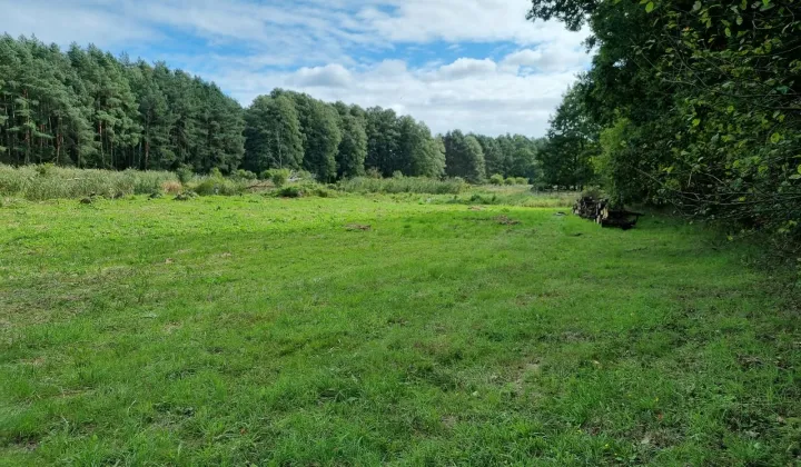 Działka rolna Jasieniec