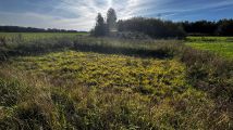 Działka budowlana Przyjaźń, ul. Pogodna. Zdjęcie 2