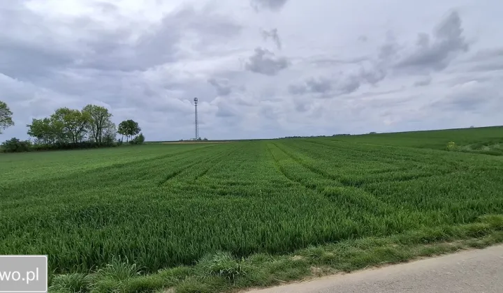 Działka rolna Wysocice Wiktorka