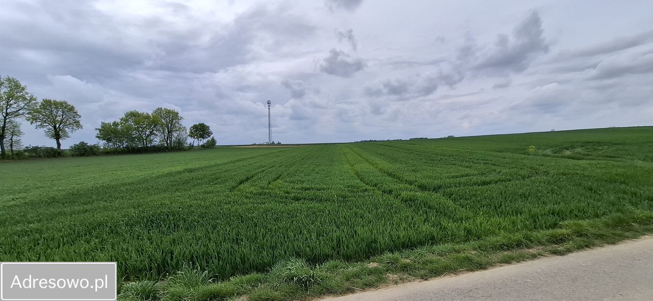 Działka rolna Wysocice Wiktorka. Zdjęcie 1
