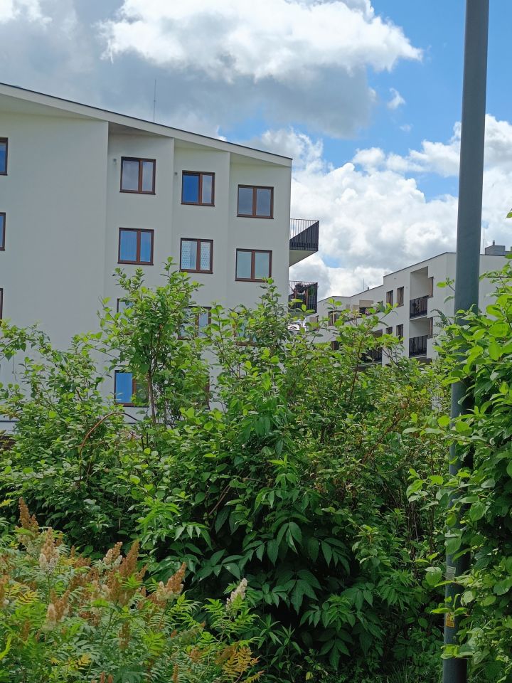 Mieszkanie 4-pokojowe Warszawa Targówek, Wierna. Zdjęcie 7