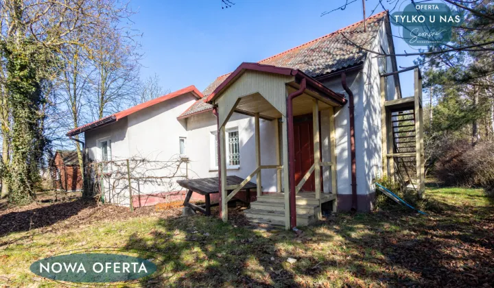 Działka rekreacyjna Trzepnica