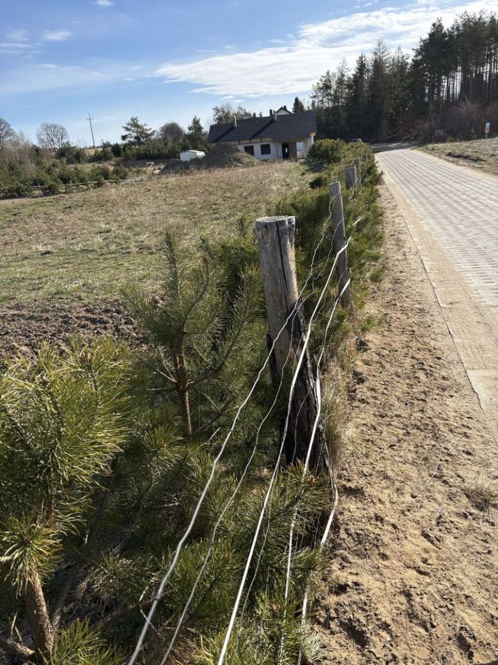 Działka budowlana Grabowiec, ul. Koszarowa. Zdjęcie 4