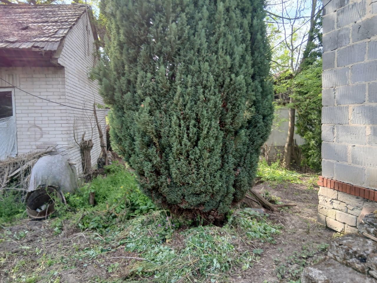 Działka rolno-budowlana Dziurów. Zdjęcie 3