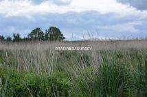 Działka rolna Glewiec. Zdjęcie 4