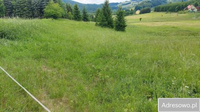 Działka budowlana Ludwikowice Kłodzkie, ul. Kolonia Jana Kasprowicza. Zdjęcie 1