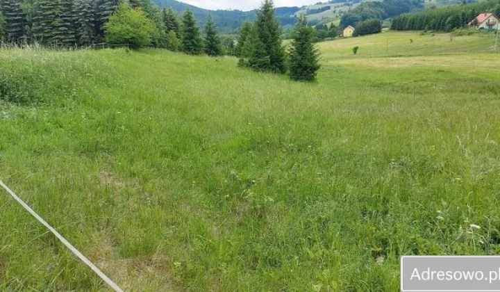 Działka budowlana Ludwikowice Kłodzkie, ul. Kolonia Jana Kasprowicza