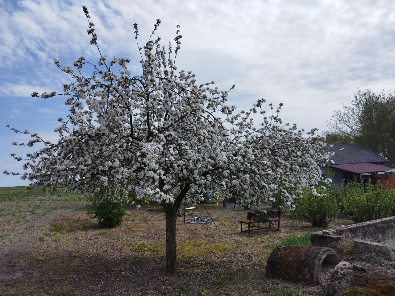 Działka siedliskowa Kępa. Zdjęcie 10