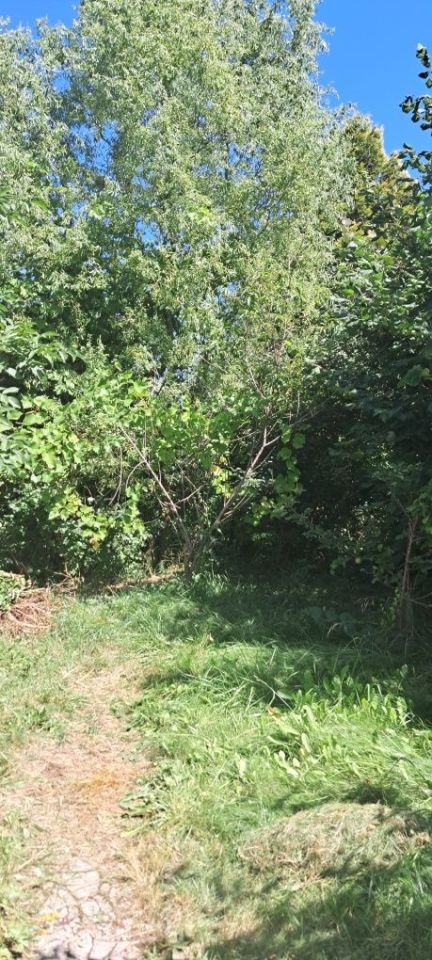Działka rod Będzin Syberka. Zdjęcie 4