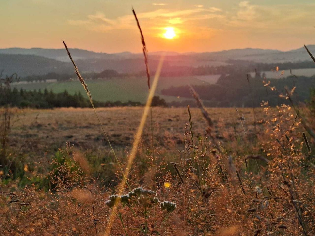 Działka budowlana Morzyszów. Zdjęcie 2