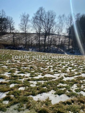 Działka Jastrzębie-Zdrój, ul. Zamłynie. Zdjęcie 1