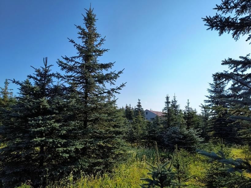 Działka budowlana Kamionki. Zdjęcie 5