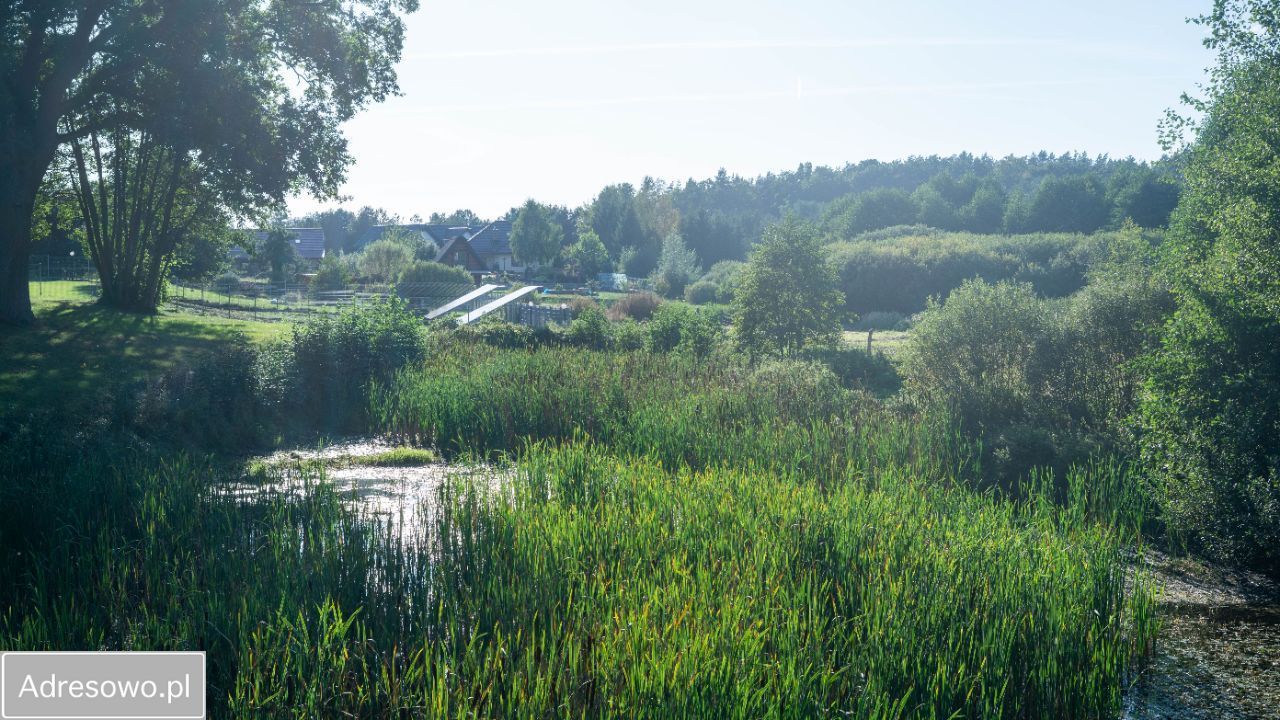 Działka budowlana Różanki. Zdjęcie 13