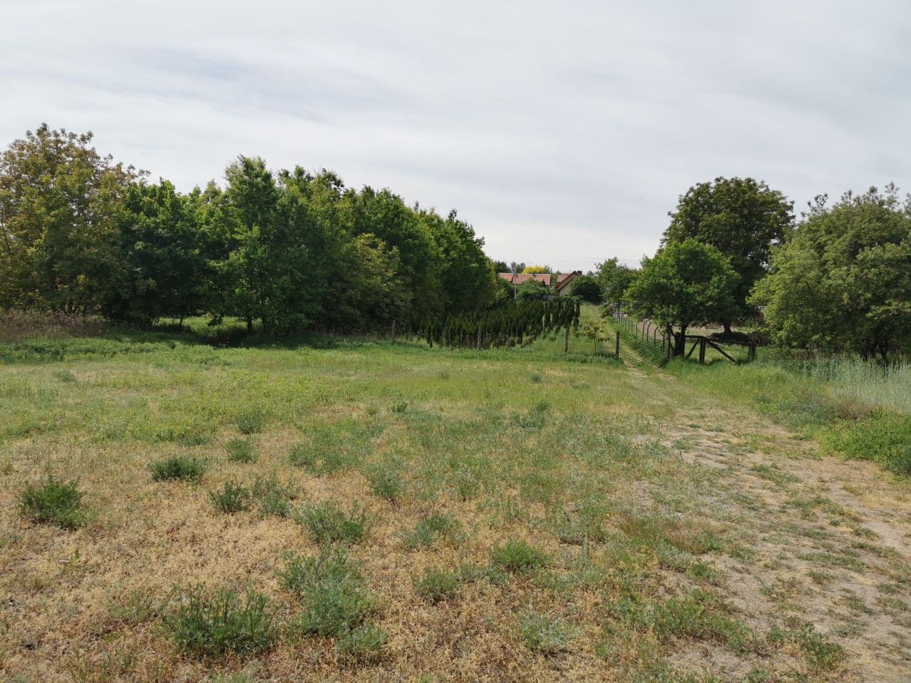 Działka budowlana Puławy Włostowice, ul. Piasecznica. Zdjęcie 5