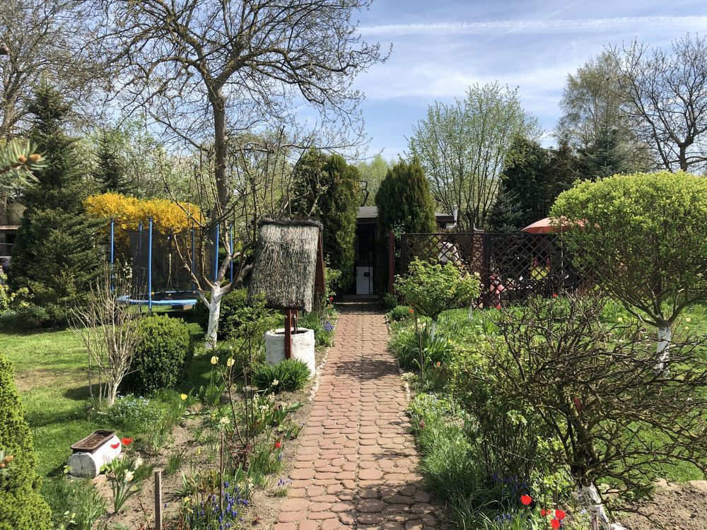 Działka rod Szczecin Pogodno, ul. Stanisława Ignacego Witkiewicza. Zdjęcie 4