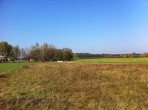 Działka rolno-budowlana Wępiły. Zdjęcie 3