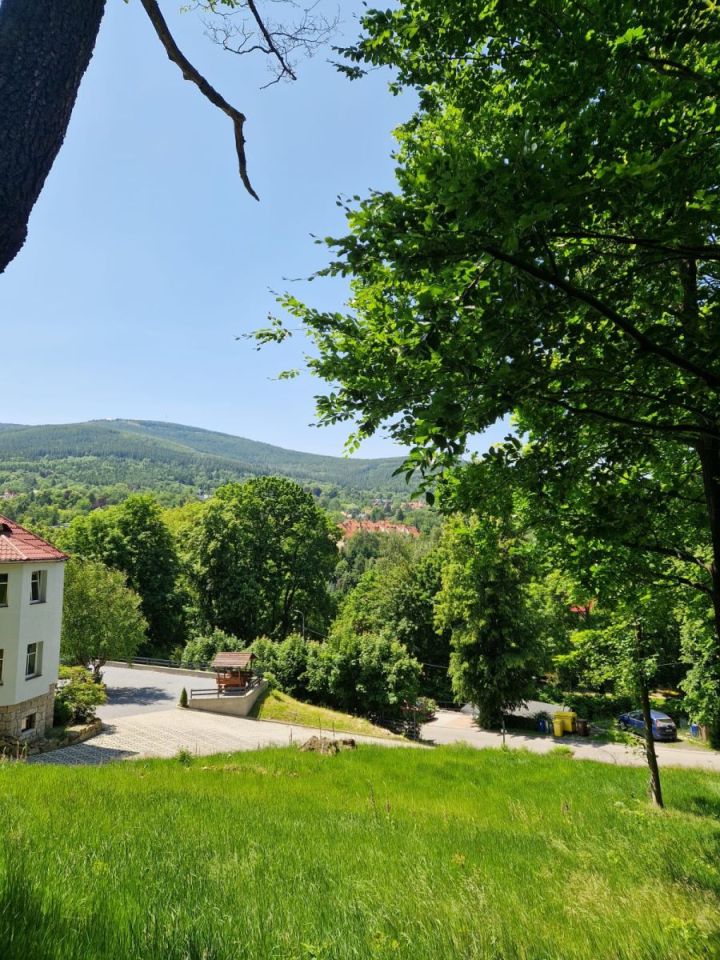 Działka budowlana Świeradów-Zdrój, ul. Lipowa. Zdjęcie 1