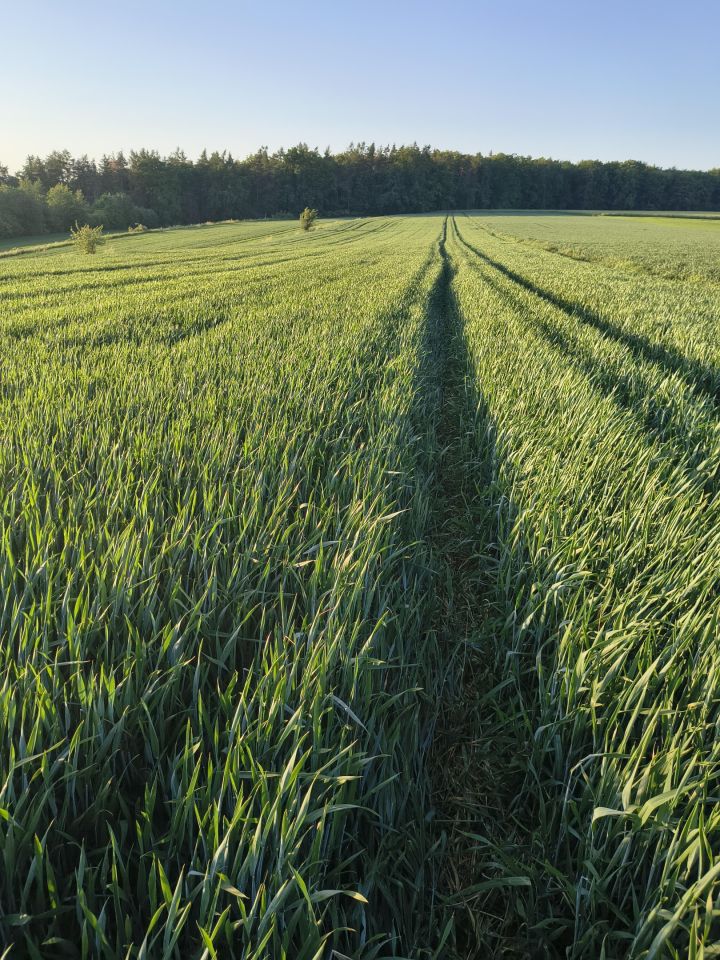 Działka rolna Batycze. Zdjęcie 3