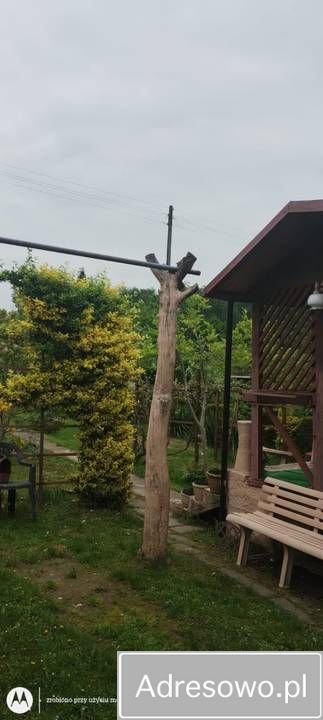 Działka rod Jastrzębie-Zdrój Ruptawa. Zdjęcie 6
