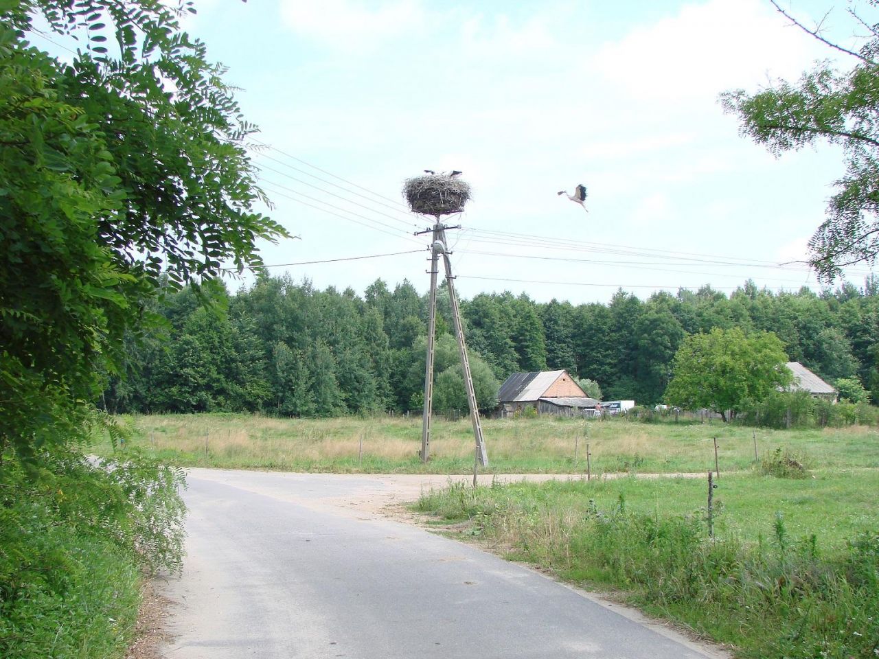 Działka siedliskowa Gutkowo Gutkowo-Fije. Zdjęcie 4