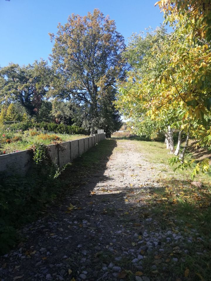 Działka budowlana Ołobok, ul. Bolesława Chrobrego. Zdjęcie 2