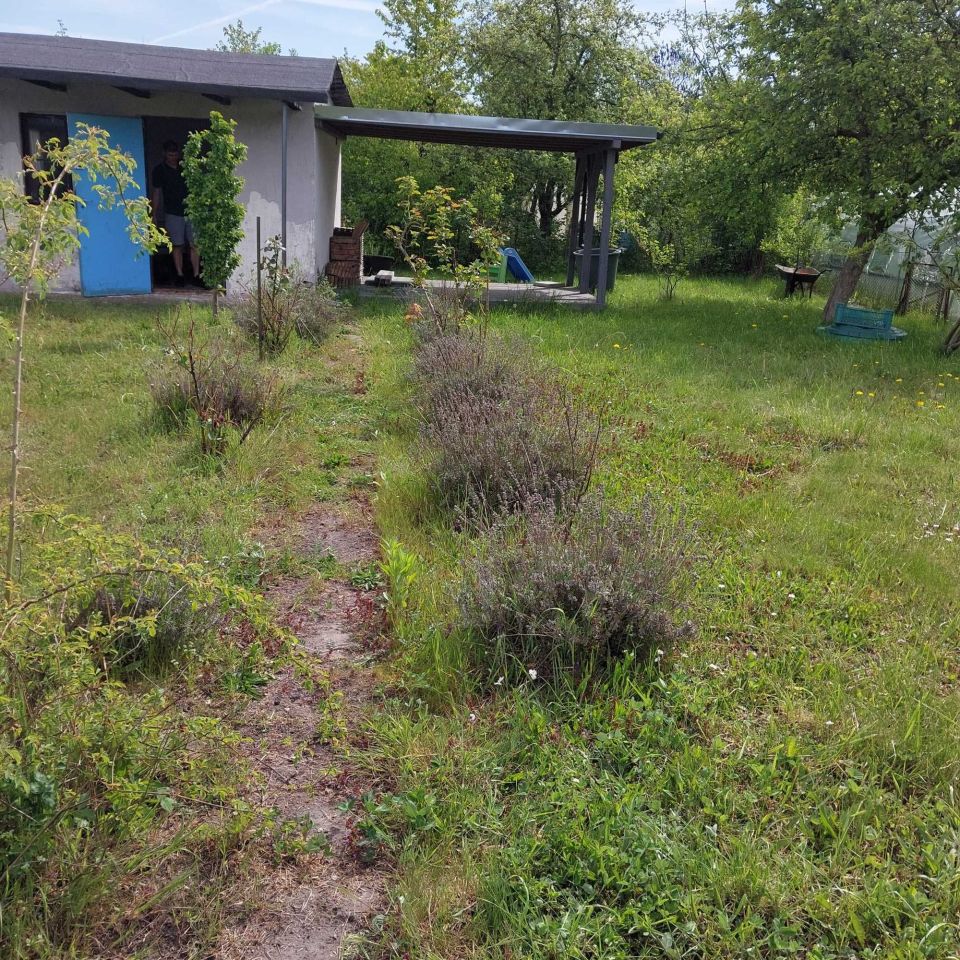 Działka rod Wrocław Psie Pole. Zdjęcie 5