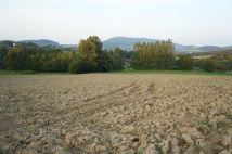 Działka budowlana Rupniów. Zdjęcie 2