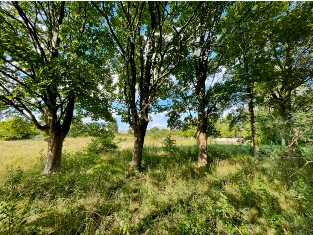 Działka budowlana Włoszczowa, ul. Spacerowa. Zdjęcie 6