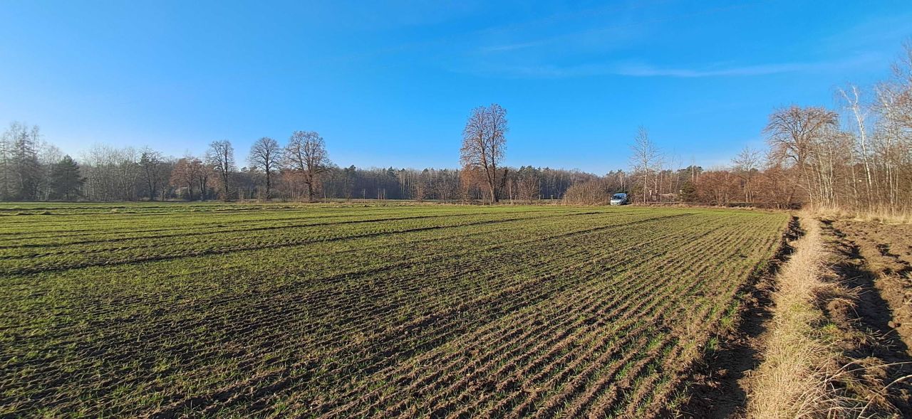 Działka budowlana Samoklęski