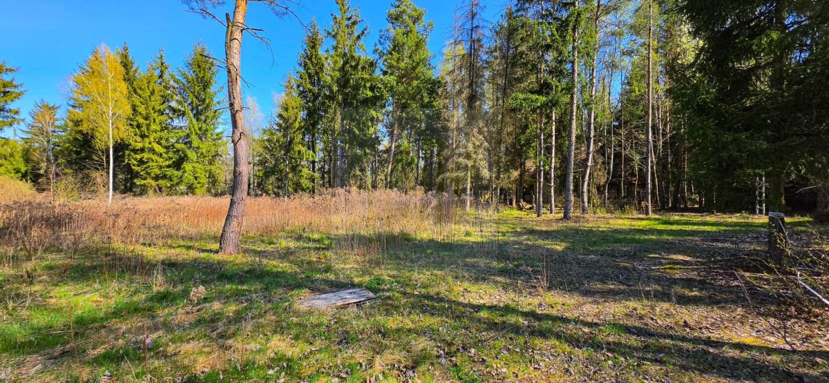 Działka budowlana Janinów. Zdjęcie 6