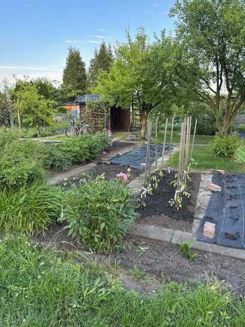 Działka rod Wrocław Krzyki. Zdjęcie 7