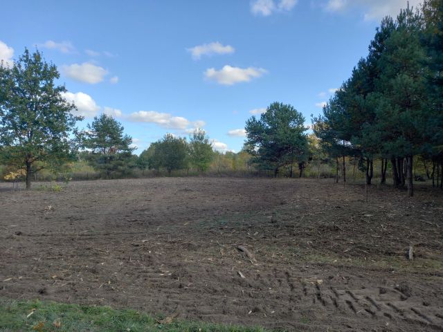 Działka budowlana Łoś. Zdjęcie 1