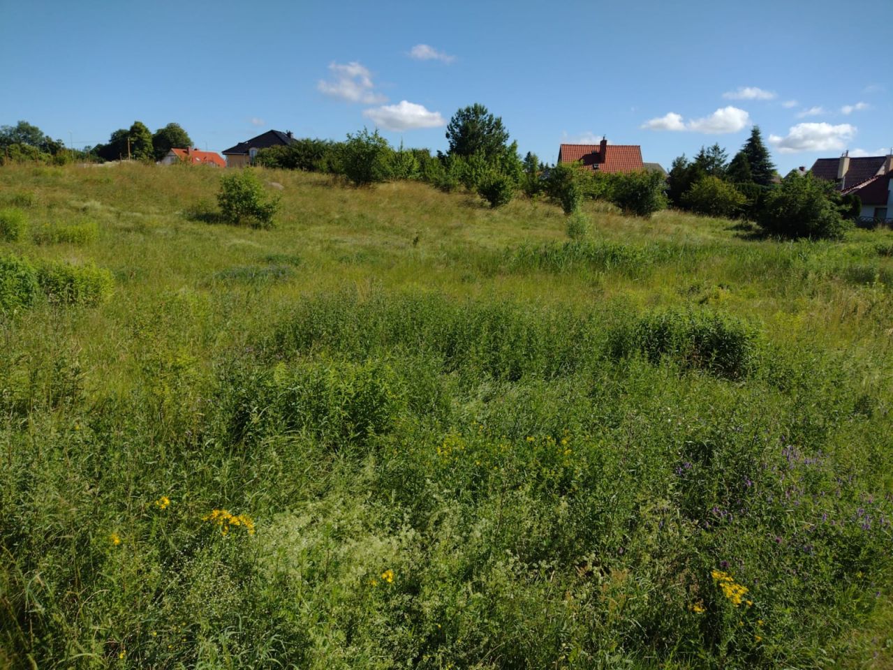 Działka budowlana Morąg Kolonia Robotnicza, ul. Łąkowa. Zdjęcie 3