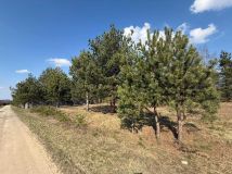 Działka budowlana Nowy Cydzyn. Zdjęcie 2