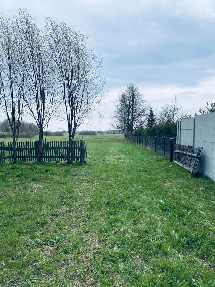 Działka siedliskowa Orzeszkowo Olszyna. Zdjęcie 5