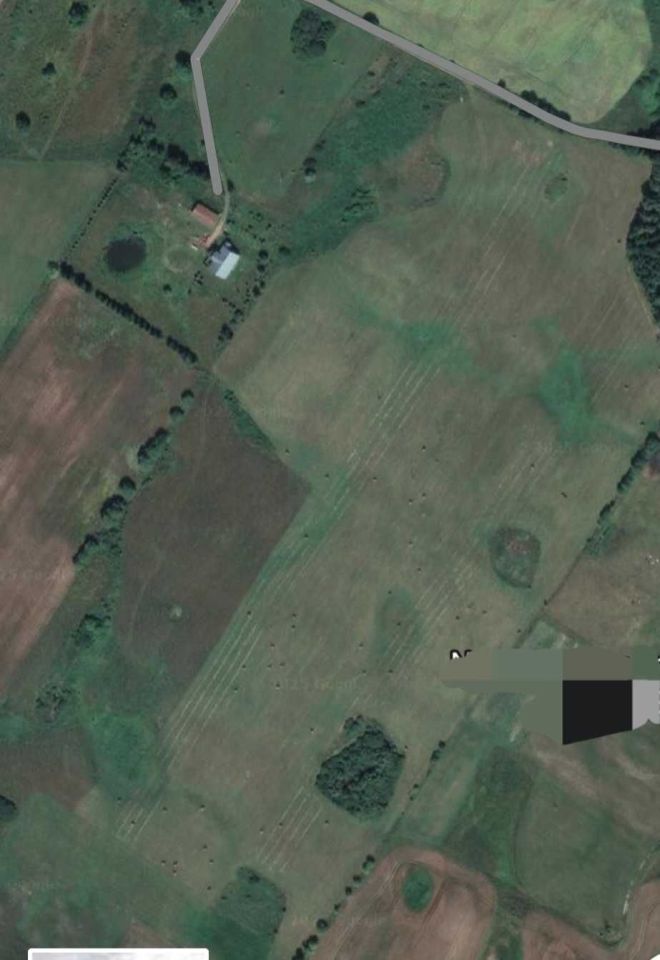 Działka rolna Bieńkowo. Zdjęcie 3