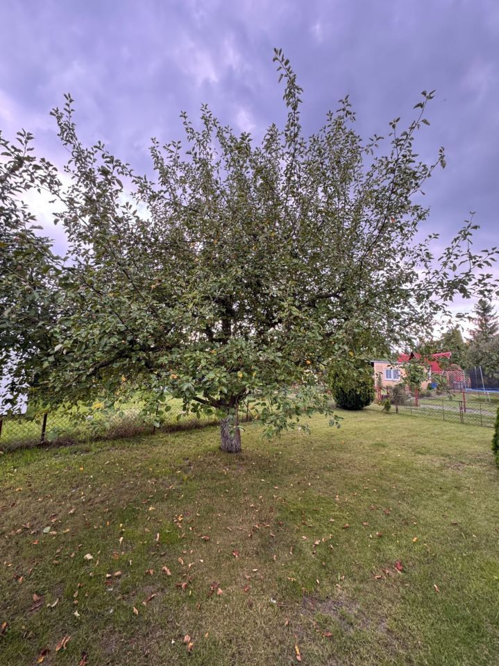 Działka rod Włocławek, ul. Rybnicka. Zdjęcie 3