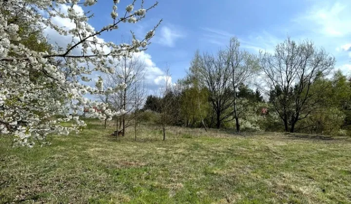 Działka budowlana Chalin