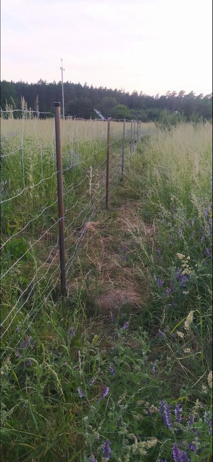 Działka budowlana Klepin. Zdjęcie 2