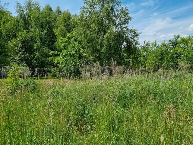 Działka budowlana Zaborówek. Zdjęcie 3