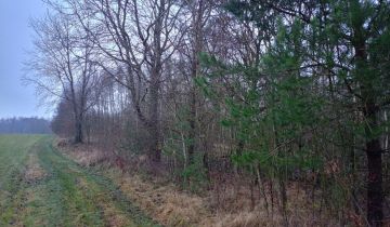 Działka rolna Mściszewice Bębny